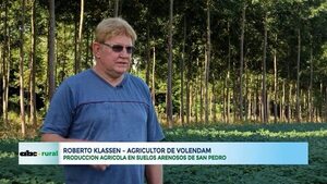 Video: Producción agrícola en suelos arenosos y densidad en zafriña de soja   - ABC Rural - ABC Color