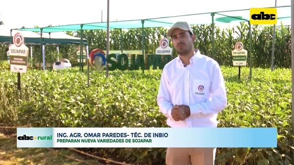 Video: Preparan nueva variedad Sojapar - ABC Rural - ABC Color