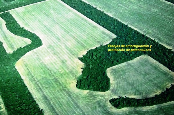 Cuatro preguntas incómodas para los ambientalistas europeos - El Independiente
