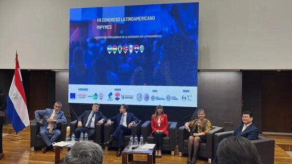 Las mipymes son como “David contra Goliat”, afirma Castiglioni - Economía - ABC Color