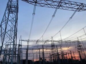 ANDE: Demanda local de energía eléctrica aumentó 4,2% hasta abril - Economía - ABC Color