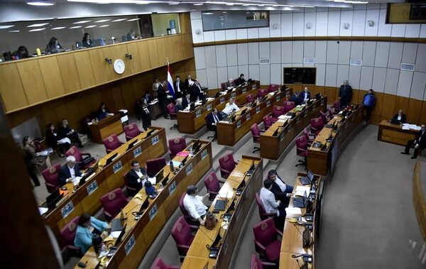 Caja Fiscal: exministro advierte sobre riesgo de colapso y suba de impuestos - Economía - ABC Color