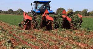 La Nación / “Un buen año del sector agro pone la base fundamental”