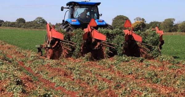 La Nación / “Un buen año del sector agro pone la base fundamental”