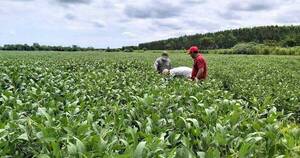 La Nación / Cartera renegociada crece impulsada por medidas temporales a la agricultura