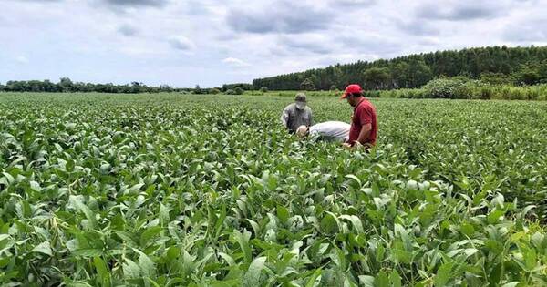 La Nación / Cartera renegociada crece impulsada por medidas temporales a la agricultura