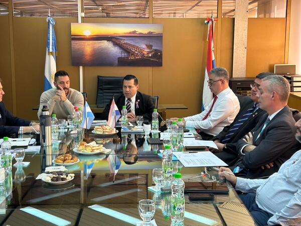 ANDE realiza estudios para mejorar intercambio energético con Argentina - La Tribuna