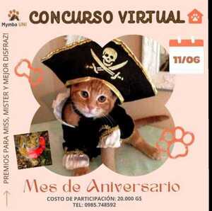 Celebra con MYMBA UNI su cuarto aniversario y apoya a las mascotas