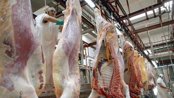 La faena vacuna brasileña creció 5% durante el primer trimestre