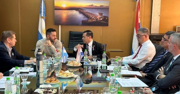 Evalúan varios puntos de conexión para aumentar intercambio energético entre Paraguay y Argentina - .::Agencia IP::.