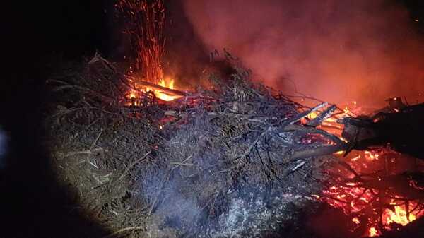 Denuncian quema de árboles y arbustos para encubrir supuestos delitos ambientales - Noticde.com