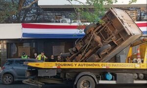 Grúa transportaba un vehículo y un árbol se metió en el camino