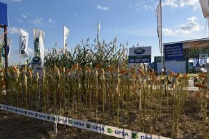 GPSA destacará novedades y su apuesta por el Chaco durante la Expo Pioneros
