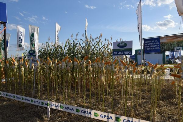 GPSA destacará novedades y su apuesta por el Chaco durante la Expo Pioneros