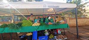 Hortigranjeros de Minga Guazú claman por mayor atención de autoridades - La Clave