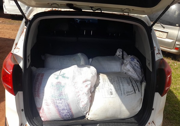 Transportaba carne de caballo sin documentación y quedó detenido - Noticias Paraguay