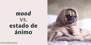 Diario HOY | Los extranjerismos más comunes y los reemplazos propuestos en español