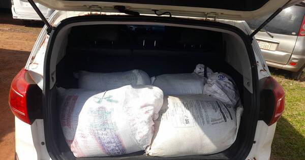 La Nación / Conductor que transportaba 300 kilos de carne equina ilegal fue detenido en Tavapy