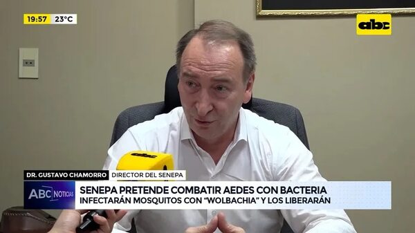 Video: Senepa pretende combatir Aedes con bacteria - ABC Noticias - ABC Color