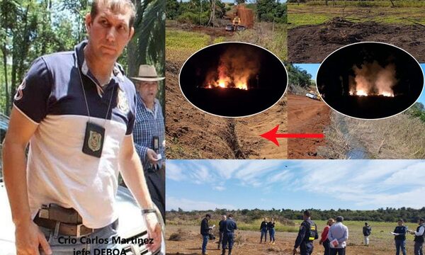 Policía del DEBOA se hacen millonarios en Alto Paraná hace la vista gorda a delitos ambientales – Diario TNPRESS
