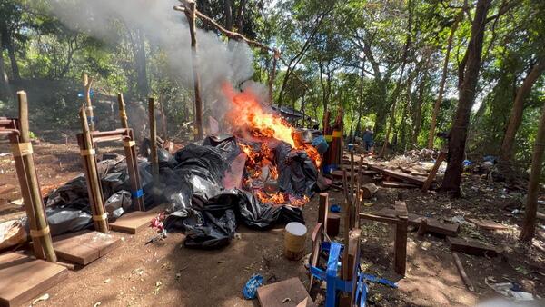 Tres detenidos y más de ocho toneladas de marihuana fueron incautadas y destruidas en la Colonia en Estrella - Oasis FM 94.3