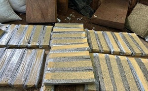 SENAD anuló narco campamentos y 14 toneladas de Marihuana en Zanja Pytã