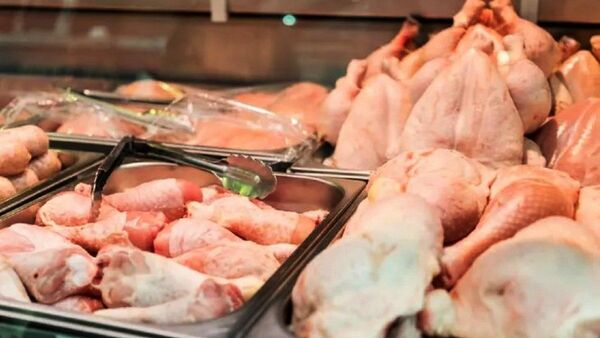 Gripe aviar: Aseguran que es seguro el consumo de productos avícolas