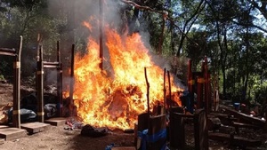 Destruyen campamentos narcos en Amambay - Noticias Paraguay