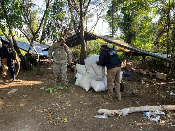 Desmantelan narcocampamentos, anulan 8 toneladas de marihuana y capturan a operadores en Amambay | 1000 Noticias