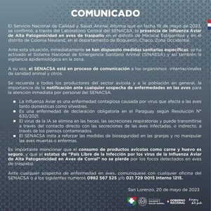 AUDIO: Gripe Aviar: sector industrial avícola considera que casos en el Chaco serán parte de “foco aislado” y que se insistirá en bioseguridad - Enfoque económico - ABC Color