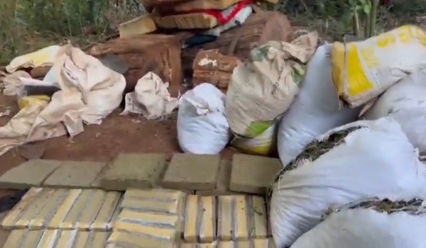 Senad sacó de circulación 14 toneladas de marihuana en una zona boscosa - Radio Imperio