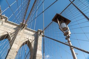 El Puente de Brooklyn cumple 140 años, y todo comenzó con unos elefantes - Viajes - ABC Color