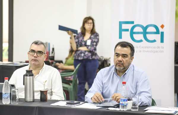 Analizan avance de proyectos financiados por el FEEI - C9N