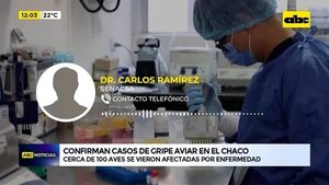 Video: Confirman casos de gripe aviar en el Chaco  - ABC Noticias - ABC Color
