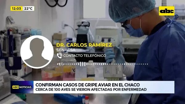 Video: Confirman casos de gripe aviar en el Chaco - ABC Noticias - ABC Color