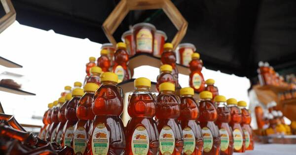 La Nación / Apicultores proyectan primer envío de miel de abeja al mercado de Argelia