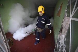 Ministra de Salud afirma que contagios de dengue deben caer dentro de dos semanas en Perú - Mundo - ABC Color