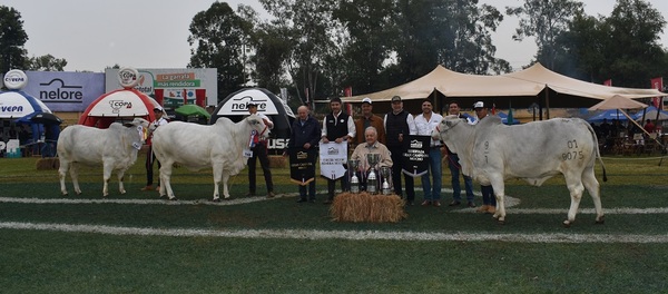 Goya y Ganadera San Víctor se llevaron los mayores premios con individuos de “mucho futuro”