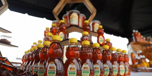 Apicultores proyectan primer envío de miel de abeja al mercado de Argelia