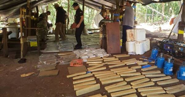 La Nación / Destruyen 8 toneladas de marihuana, 15 campamentos e imputan a tres personas