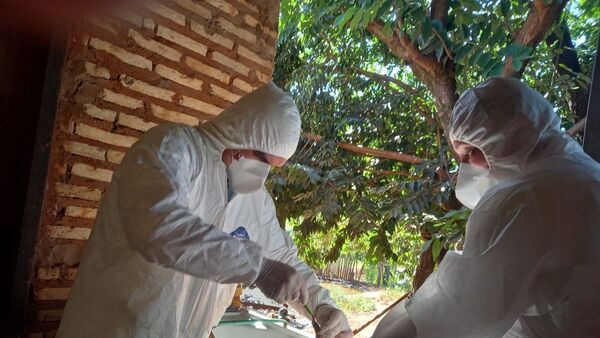 Confirman focos de influenza aviar y granjas llaman a la tranquilidad