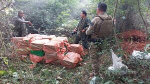 Se detecta una red de campamentos narco con 7 toneladas de marihuana 