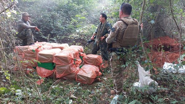 Se detecta una red de campamentos narco con 7 toneladas de marihuana