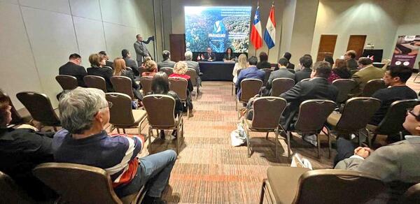 Paraguay presentó todo su potencial turístico en Chile - .::Agencia IP::.