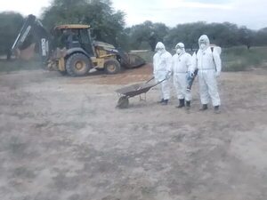 Gripe aviar avanza en el Chaco sobre crianza casera, tres focos hasta ahora  - Nacionales - ABC Color