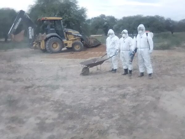Gripe aviar avanza en el Chaco sobre crianza casera, tres focos hasta ahora - Nacionales - ABC Color