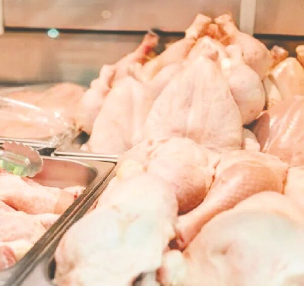 Gripe aviar: comer pollo y huevo "es seguro", afirman