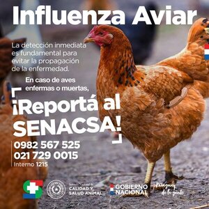 Filadelfia: Aparece tercer foco de gripe aviar en el Chaco