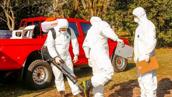 Detectan tercer foco de gripe aviar y granjas refuerzan bioseguridad