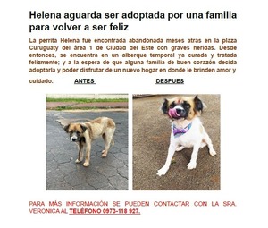 Helena aguarda ser adoptada por una familia para volver a ser feliz